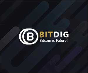 Bitdig.net 300X250